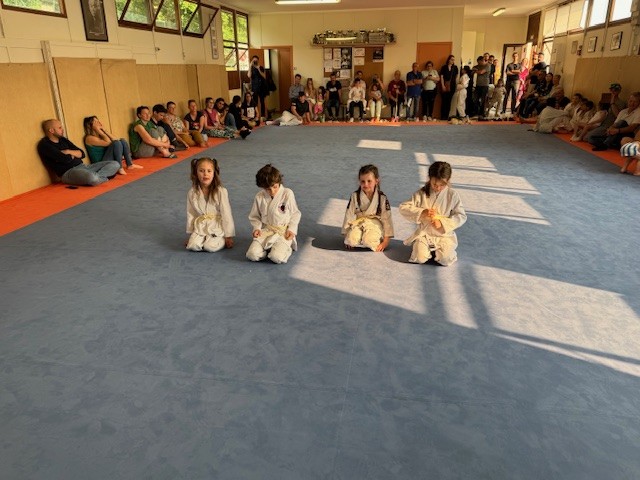 Image12