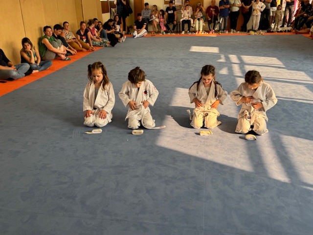 Image15