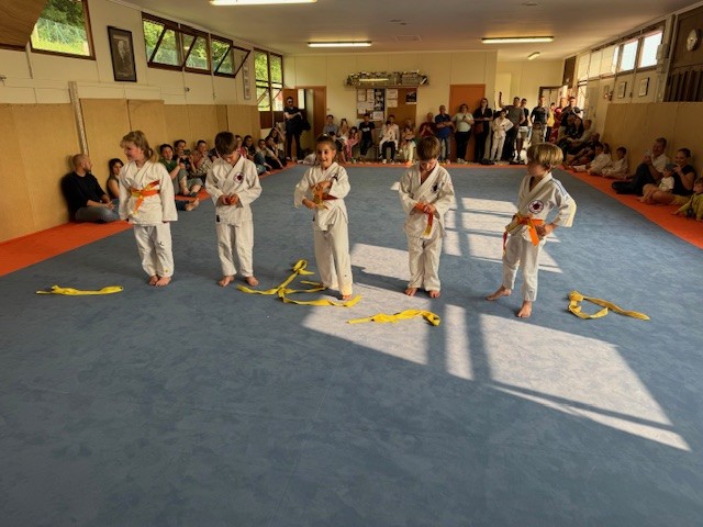 Image21